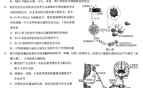 重庆市2026年普通高等学校招生全国统一考试生物_2024-2026高三（6-6月题库）_2026年02月高三试卷_260201重庆市2026年普通高等学校招生全国统一考试（康德一诊）（全科）