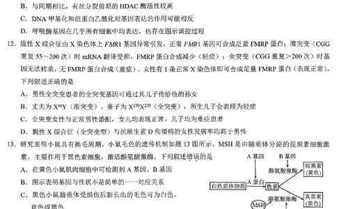 重庆市2026年普通高等学校招生全国统一考试生物_2024-2026高三（6-6月题库）_2026年02月高三试卷_260201重庆市2026年普通高等学校招生全国统一考试（康德一诊）（全科）