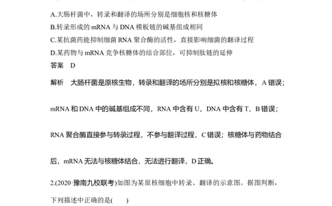 热点微练19基因表达_通用版（老高考）复习资料_2023年复习资料_一轮复习_2023年高考生物一轮复习讲义+课件（全国版）_2023年高考生物一轮复习讲义（全国版）_赠补充习题