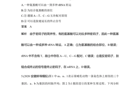 热点微练19基因表达_通用版（老高考）复习资料_2023年复习资料_一轮复习_2023年高考生物一轮复习讲义+课件（全国版）_2023年高考生物一轮复习讲义（全国版）_赠补充习题
