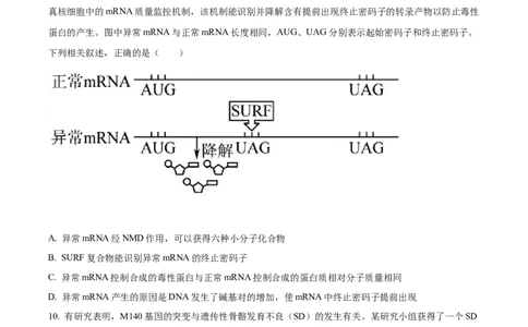 江西省新余市一中2022-2023学年高二上学期开学考试生物试题_生物高考模拟题_老高考_2023年