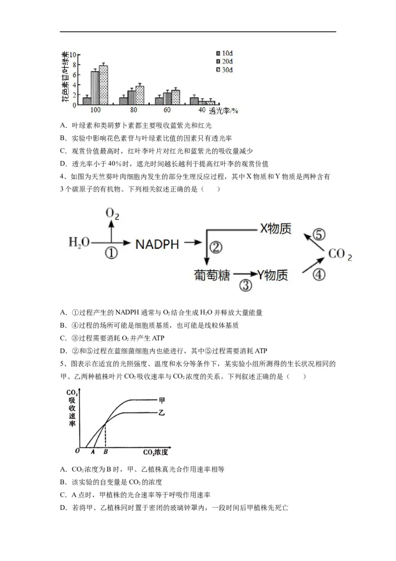热点01细胞呼吸与光合作用综合典型分析（原卷版）_通用版（老高考）复习资料_2023年复习资料_专项复习_2023年高考生物热点&middot;重点&middot;难点专练（全国通用）
