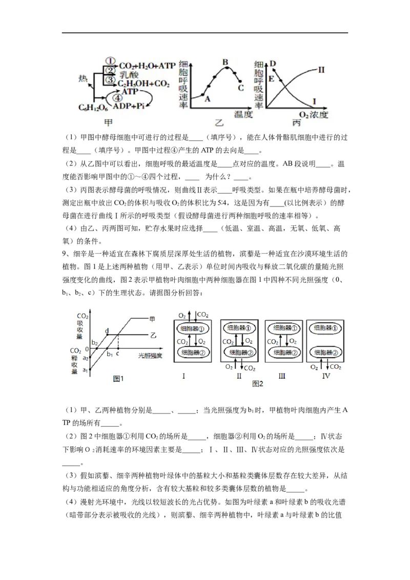 热点01细胞呼吸与光合作用综合典型分析（原卷版）_通用版（老高考）复习资料_2023年复习资料_专项复习_2023年高考生物热点&middot;重点&middot;难点专练（全国通用）