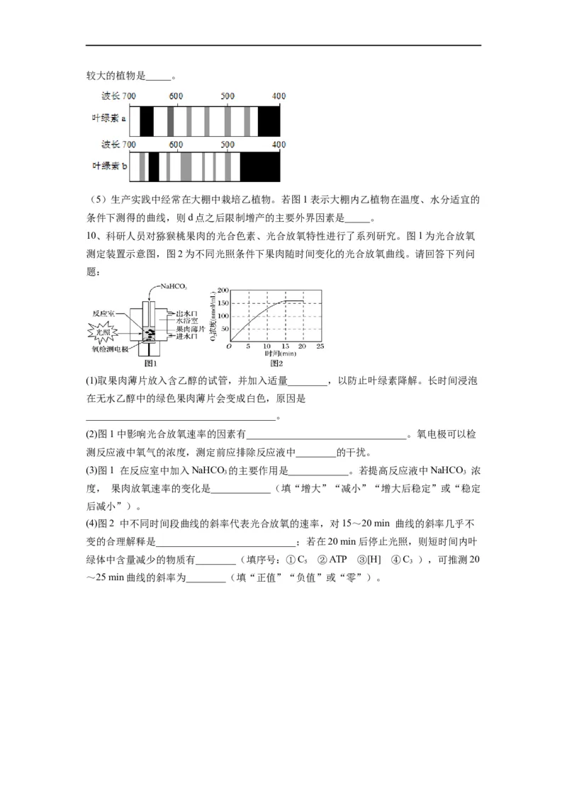 热点01细胞呼吸与光合作用综合典型分析（原卷版）_通用版（老高考）复习资料_2023年复习资料_专项复习_2023年高考生物热点&middot;重点&middot;难点专练（全国通用）