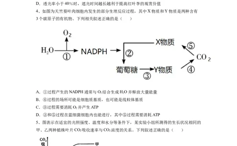 热点01细胞呼吸与光合作用综合典型分析（原卷版）_通用版（老高考）复习资料_2023年复习资料_专项复习_2023年高考生物热点&middot;重点&middot;难点专练（全国通用）