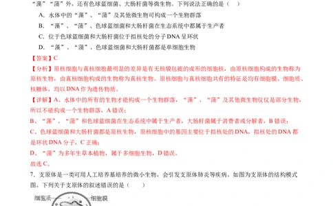 第01讲走近细胞（练习）（解析版）_新高考复习资料_2025年新高考资料_2025年高考生物一轮复习讲练测（新教材新高考）