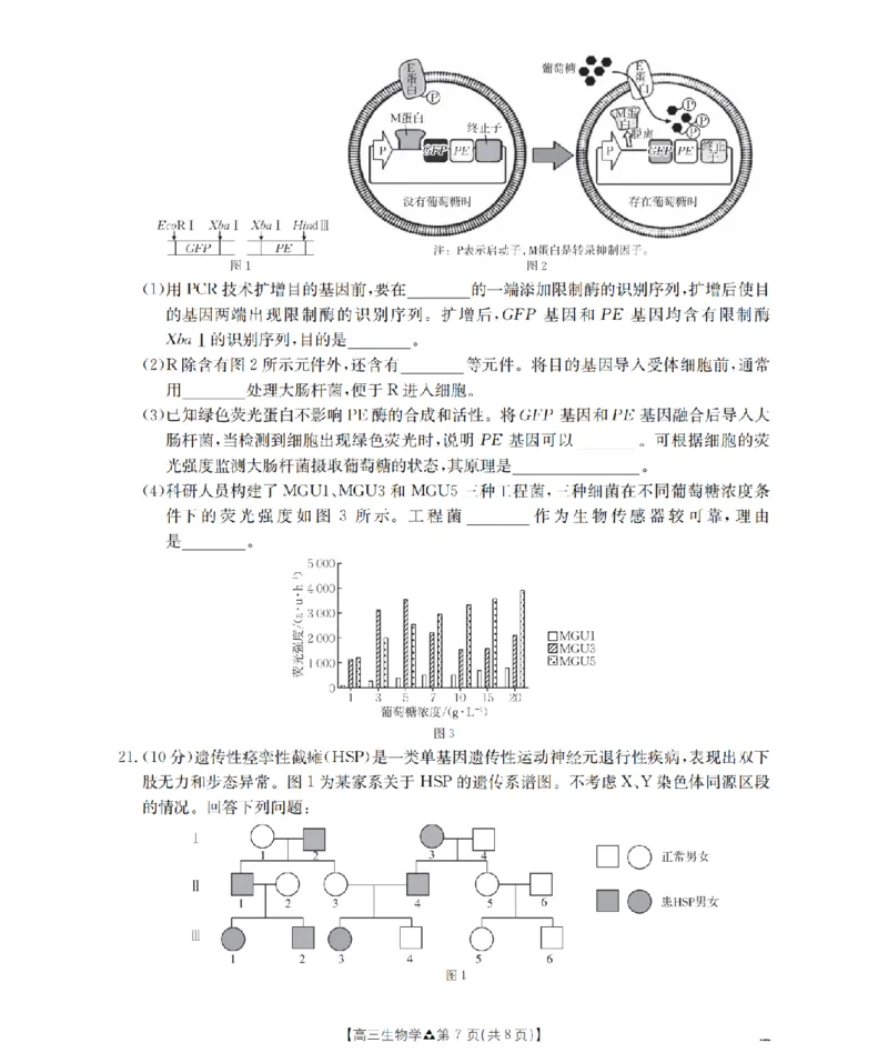 陕西省2026届高三下学期3月联考（26-287C）生物_2024-2026高三（6-6月题库）_2026年03月高三试卷_260318金太阳&middot;陕西省2026届高三下学期3月联考（26-287C）（全科）