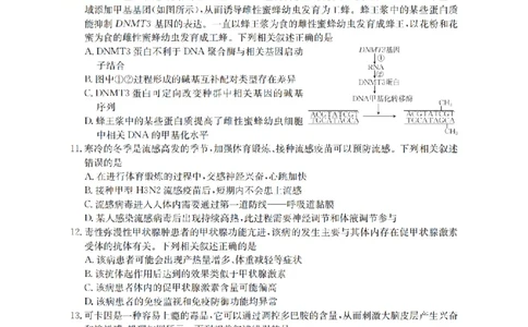 陕西省2026届高三下学期3月联考（26-287C）生物_2024-2026高三（6-6月题库）_2026年03月高三试卷_260318金太阳&middot;陕西省2026届高三下学期3月联考（26-287C）（全科）