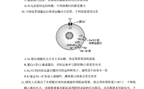 银川市、石嘴山市、吴忠市三市2026年高三年级学科教学质量检测生物_2024-2026高三（6-6月题库）_2026年03月高三试卷