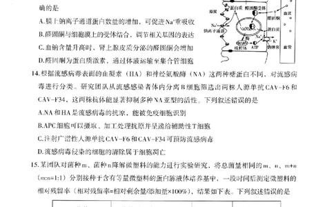 银川市、石嘴山市、吴忠市三市2026年高三年级学科教学质量检测生物_2024-2026高三（6-6月题库）_2026年03月高三试卷