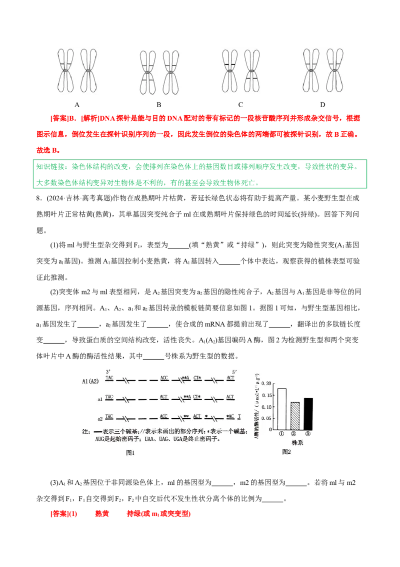 知识清单17+基因突变及其他变异（4大考点+10个易错点）-上好课2025年高考生物一轮复习知识清单_2025年新高考资料_一轮复习_上好课2025年高考生物一轮复习知识清单325572639