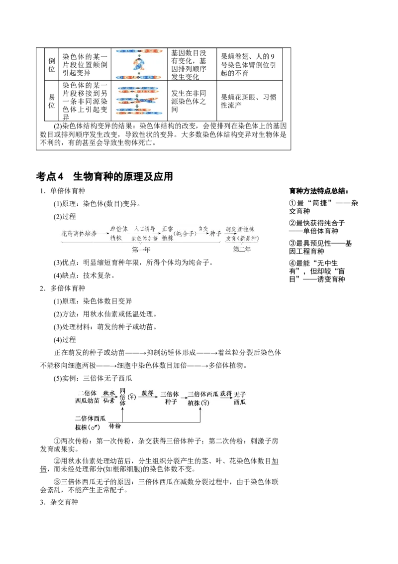 知识清单17+基因突变及其他变异（4大考点+10个易错点）-上好课2025年高考生物一轮复习知识清单_2025年新高考资料_一轮复习_上好课2025年高考生物一轮复习知识清单325572639