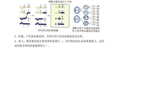 知识清单17+基因突变及其他变异（4大考点+10个易错点）-上好课2025年高考生物一轮复习知识清单_2025年新高考资料_一轮复习_上好课2025年高考生物一轮复习知识清单325572639