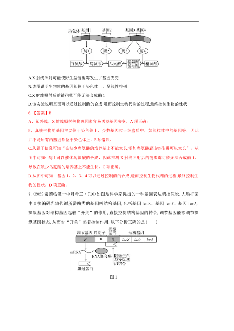 易错点19关于基因的表达的遗传题（解析版）_通用版（老高考）复习资料_2023年复习资料_专项复习_备战2023年高考生物考试易错题（全国通用）_易错点19关于基因的表达的遗传题