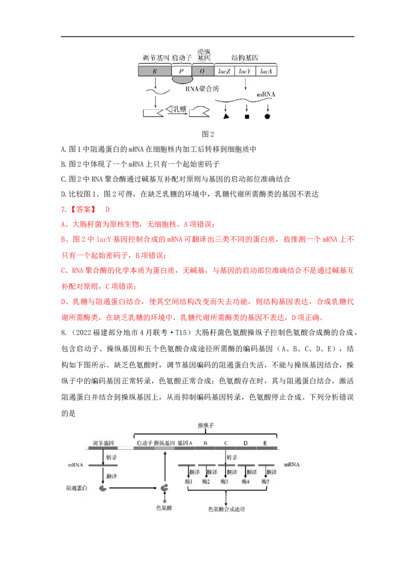 易错点19关于基因的表达的遗传题（解析版）_通用版（老高考）复习资料_2023年复习资料_专项复习_备战2023年高考生物考试易错题（全国通用）_易错点19关于基因的表达的遗传题