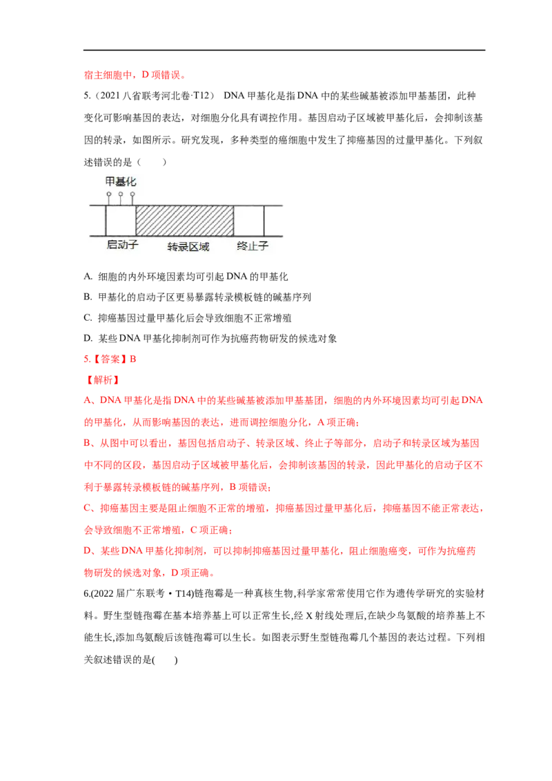 易错点19关于基因的表达的遗传题（解析版）_通用版（老高考）复习资料_2023年复习资料_专项复习_备战2023年高考生物考试易错题（全国通用）_易错点19关于基因的表达的遗传题