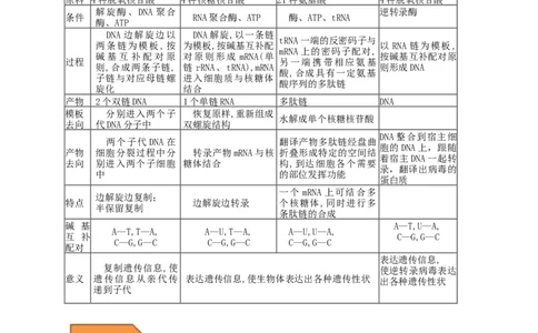 易错点19关于基因的表达的遗传题（解析版）_通用版（老高考）复习资料_2023年复习资料_专项复习_备战2023年高考生物考试易错题（全国通用）_易错点19关于基因的表达的遗传题