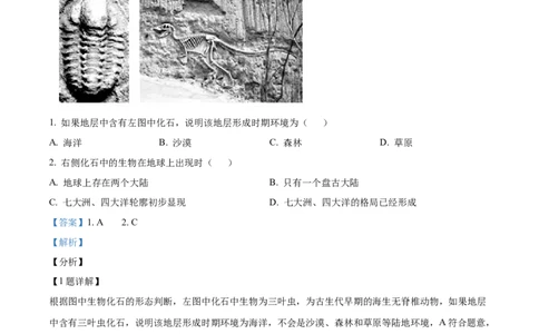 陕西西安中学2025-2026学年高三下学期第三次模拟考试地理试题Word版含解析_2024-2026高三（6-6月题库）_2026年04月高三试卷_260405陕西省西安中学2026届高三下学期第三次模拟考试