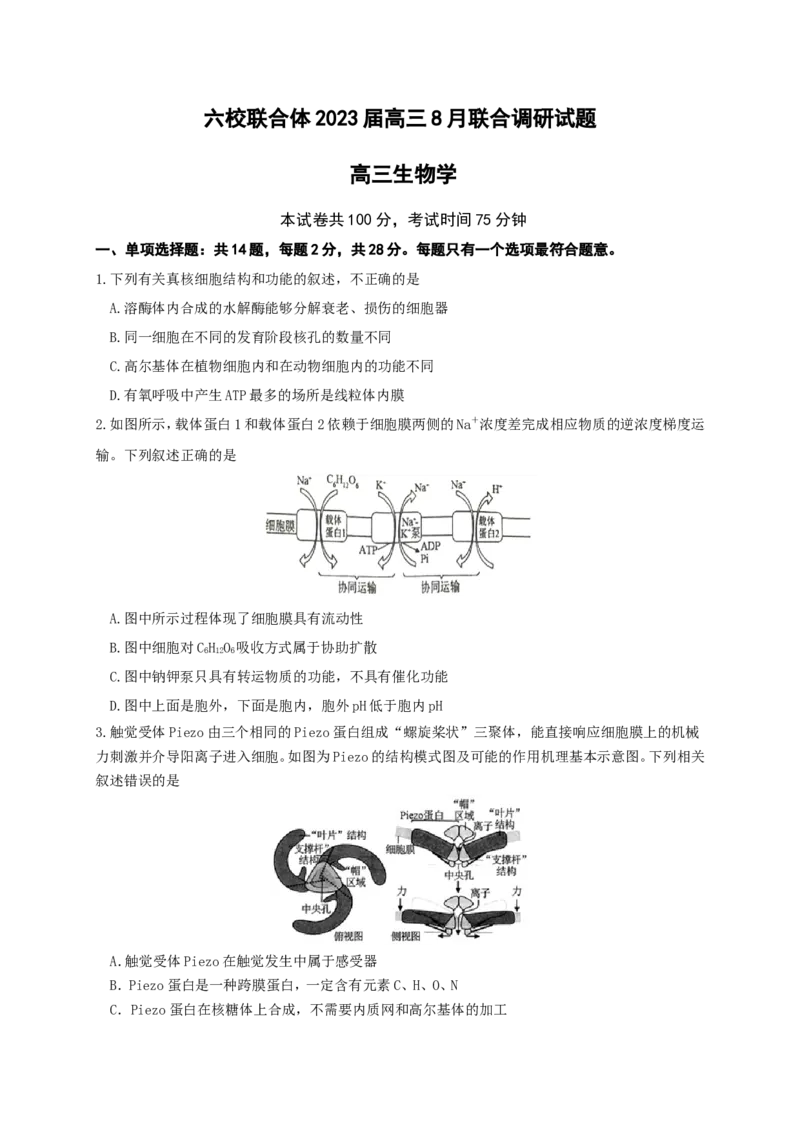 江苏省南京市六校联合体2022-2023学年高三8月联合调研考试+生物+Word版含答案_生物高考模拟题_新高考_2023年