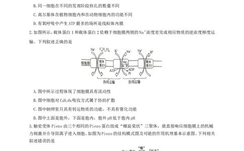 江苏省南京市六校联合体2022-2023学年高三8月联合调研考试+生物+Word版含答案_生物高考模拟题_新高考_2023年
