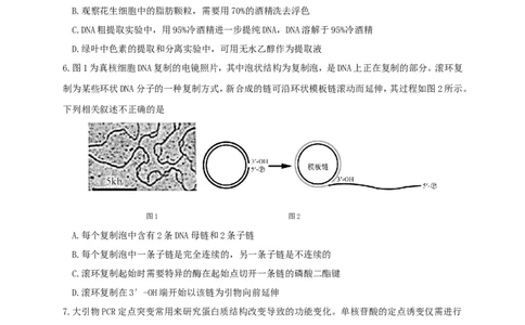 江苏省南京市六校联合体2022-2023学年高三8月联合调研考试+生物+Word版含答案_生物高考模拟题_新高考_2023年