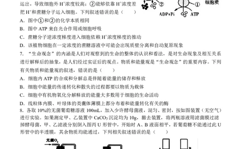 河南省郑州外国语学校2022-2023学年高三上学期调研考试（四）生物试卷_生物高考模拟题_新高考_2023年_河南省郑州外国语学校高三上学期1月调研考试（四）生物