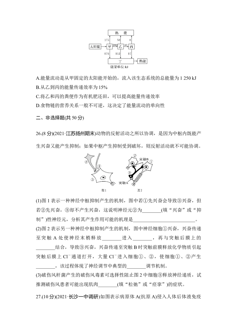 模块检测卷（三）_通用版（老高考）复习资料_2023年复习资料_一轮复习_2023年高考生物一轮复习讲义+课件（全国版）_2023年高考生物一轮复习讲义（全国版）_赠补充习题