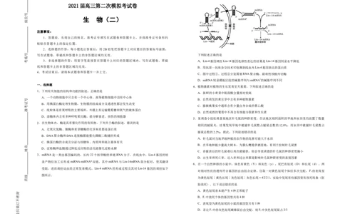 格致精选2021届高三第二次模拟考试卷生物（二）学生版_通用版（老高考）复习资料_2023年复习资料_专项复习_2023《微专题&middot;小练习》&middot;生物_模拟题_2021二模试卷