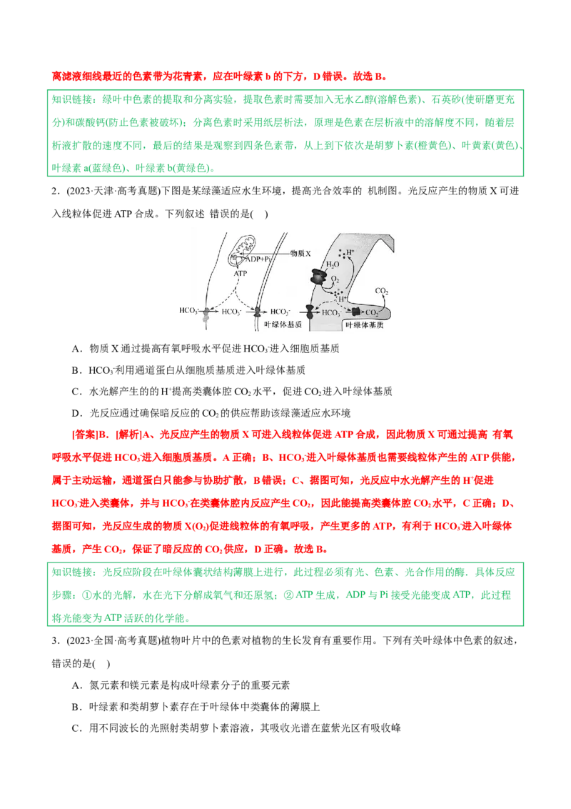 知识清单07+光合作用（4大考点+6个易错点）-上好课2025年高考生物一轮复习知识清单_新高考复习资料_2025年新高考资料_2025年高考生物一轮复习知识清单