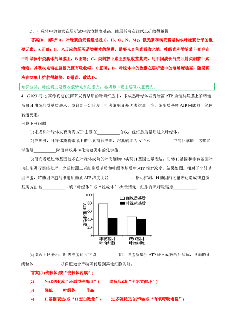 知识清单07+光合作用（4大考点+6个易错点）-上好课2025年高考生物一轮复习知识清单_新高考复习资料_2025年新高考资料_2025年高考生物一轮复习知识清单