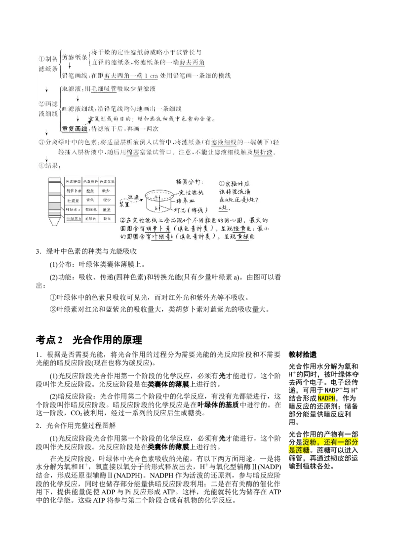 知识清单07+光合作用（4大考点+6个易错点）-上好课2025年高考生物一轮复习知识清单_新高考复习资料_2025年新高考资料_2025年高考生物一轮复习知识清单