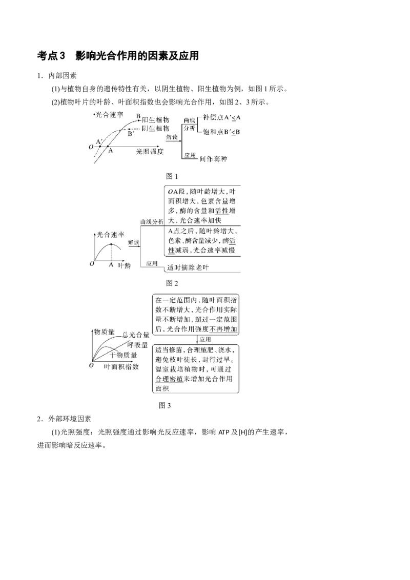 知识清单07+光合作用（4大考点+6个易错点）-上好课2025年高考生物一轮复习知识清单_新高考复习资料_2025年新高考资料_2025年高考生物一轮复习知识清单