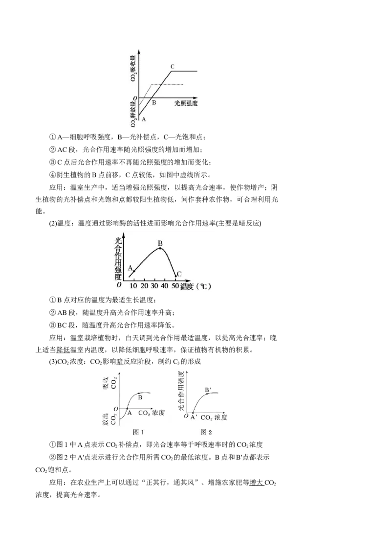 知识清单07+光合作用（4大考点+6个易错点）-上好课2025年高考生物一轮复习知识清单_新高考复习资料_2025年新高考资料_2025年高考生物一轮复习知识清单