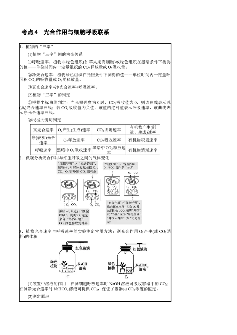 知识清单07+光合作用（4大考点+6个易错点）-上好课2025年高考生物一轮复习知识清单_新高考复习资料_2025年新高考资料_2025年高考生物一轮复习知识清单