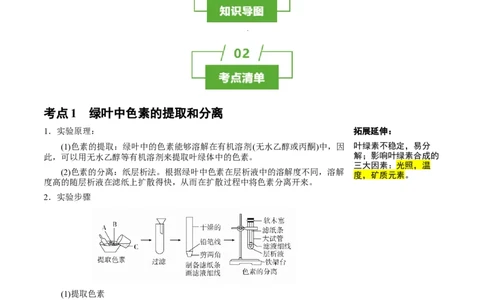 知识清单07+光合作用（4大考点+6个易错点）-上好课2025年高考生物一轮复习知识清单_新高考复习资料_2025年新高考资料_2025年高考生物一轮复习知识清单