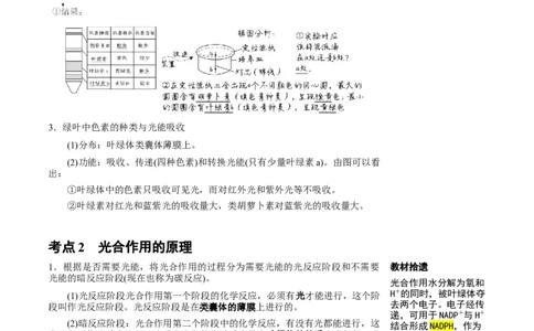 知识清单07+光合作用（4大考点+6个易错点）-上好课2025年高考生物一轮复习知识清单_新高考复习资料_2025年新高考资料_2025年高考生物一轮复习知识清单