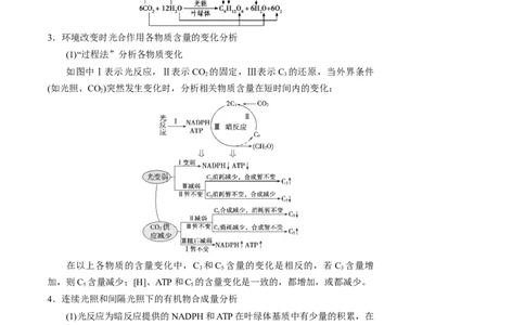 知识清单07+光合作用（4大考点+6个易错点）-上好课2025年高考生物一轮复习知识清单_新高考复习资料_2025年新高考资料_2025年高考生物一轮复习知识清单