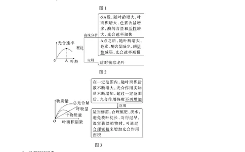 知识清单07+光合作用（4大考点+6个易错点）-上好课2025年高考生物一轮复习知识清单_新高考复习资料_2025年新高考资料_2025年高考生物一轮复习知识清单