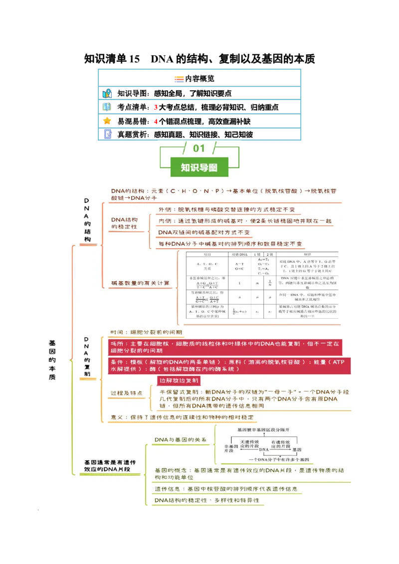 知识清单15DNA的结构、复制以及基因的本质（3大考点4个易错点）-上好课2025年高考生物一轮复习知识清单_2025年新高考资料_一轮复习