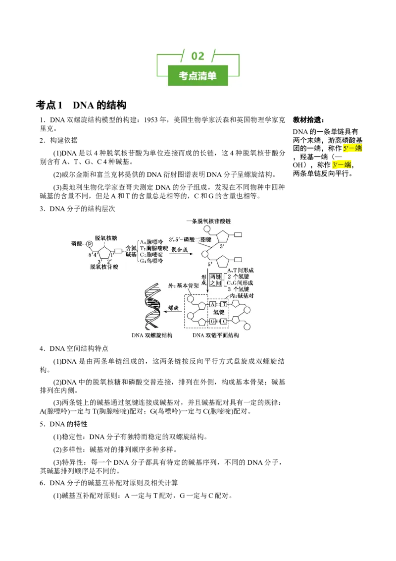知识清单15DNA的结构、复制以及基因的本质（3大考点4个易错点）-上好课2025年高考生物一轮复习知识清单_2025年新高考资料_一轮复习