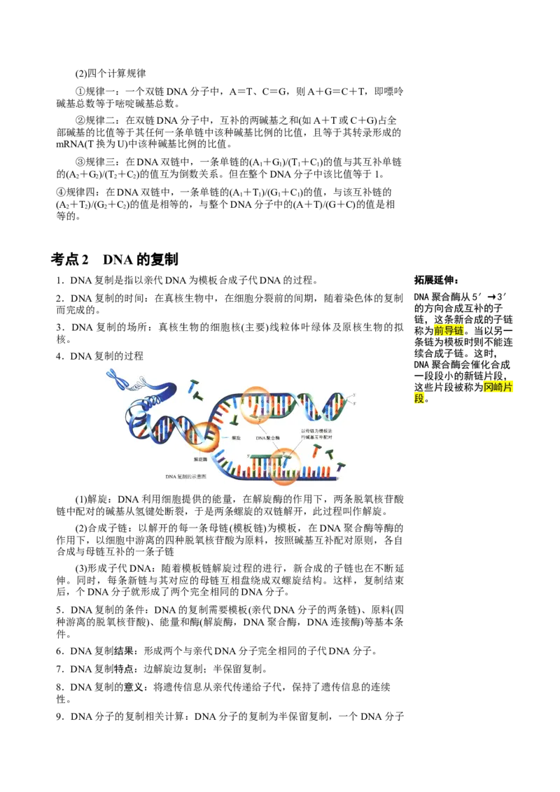 知识清单15DNA的结构、复制以及基因的本质（3大考点4个易错点）-上好课2025年高考生物一轮复习知识清单_2025年新高考资料_一轮复习