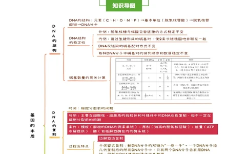 知识清单15DNA的结构、复制以及基因的本质（3大考点4个易错点）-上好课2025年高考生物一轮复习知识清单_2025年新高考资料_一轮复习