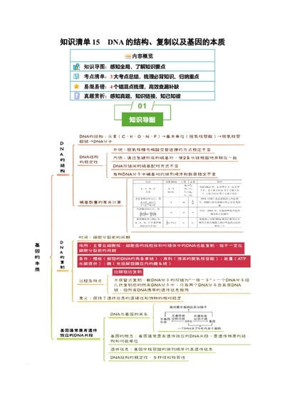知识清单15DNA的结构、复制以及基因的本质（3大考点4个易错点）-上好课2025年高考生物一轮复习知识清单_2025年新高考资料_一轮复习