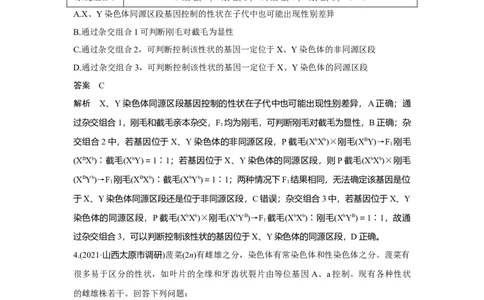 热点微练18　基因位置的判断_新高考复习资料_2023年新高考复习资料_一轮复习_2023年新高考大一轮复习讲义_2023年高考生物一轮复习讲义（新人教新高考）_赠补充习题