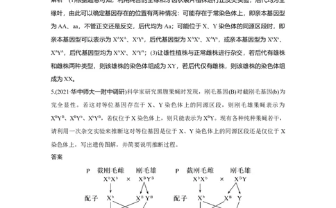 热点微练18　基因位置的判断_新高考复习资料_2023年新高考复习资料_一轮复习_2023年新高考大一轮复习讲义_2023年高考生物一轮复习讲义（新人教新高考）_赠补充习题