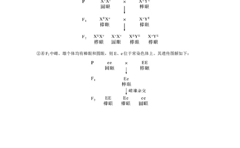 热点微练18　基因位置的判断_新高考复习资料_2023年新高考复习资料_一轮复习_2023年新高考大一轮复习讲义_2023年高考生物一轮复习讲义（新人教新高考）_赠补充习题