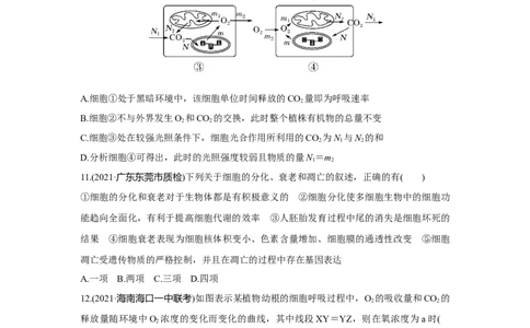 模块检测卷(一)_新高考复习资料_2023年新高考复习资料_一轮复习_2023年新高考大一轮复习讲义_2023年高考生物一轮复习讲义（新人教新高考）_赠补充习题_Word版题库第七~十单元