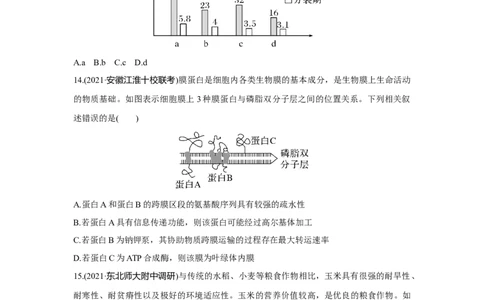 模块检测卷(一)_新高考复习资料_2023年新高考复习资料_一轮复习_2023年新高考大一轮复习讲义_2023年高考生物一轮复习讲义（新人教新高考）_赠补充习题_Word版题库第七~十单元