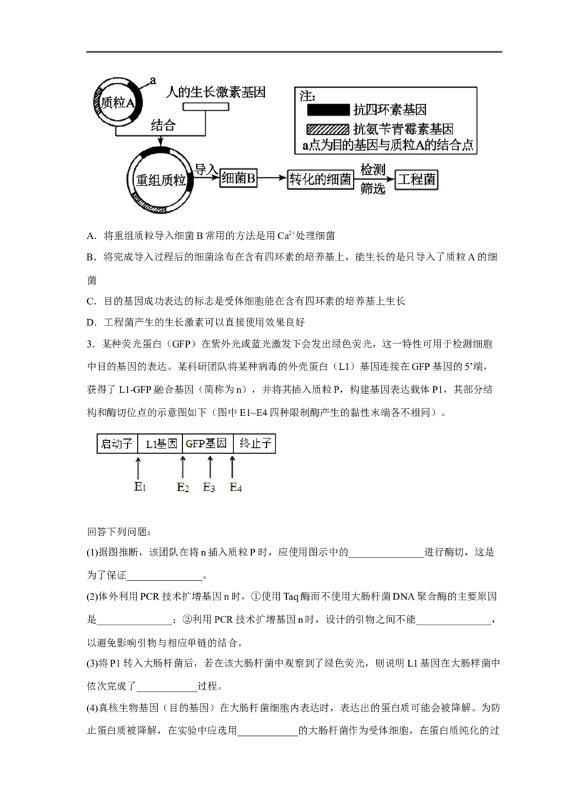 易错点28基因工程-备战2023年高考生物考试易错题（新教材新高考）（原卷版）_新高考复习资料_2023年新高考复习资料_专项复习_备战2023年高考生物考试易错题（新教材新高考）