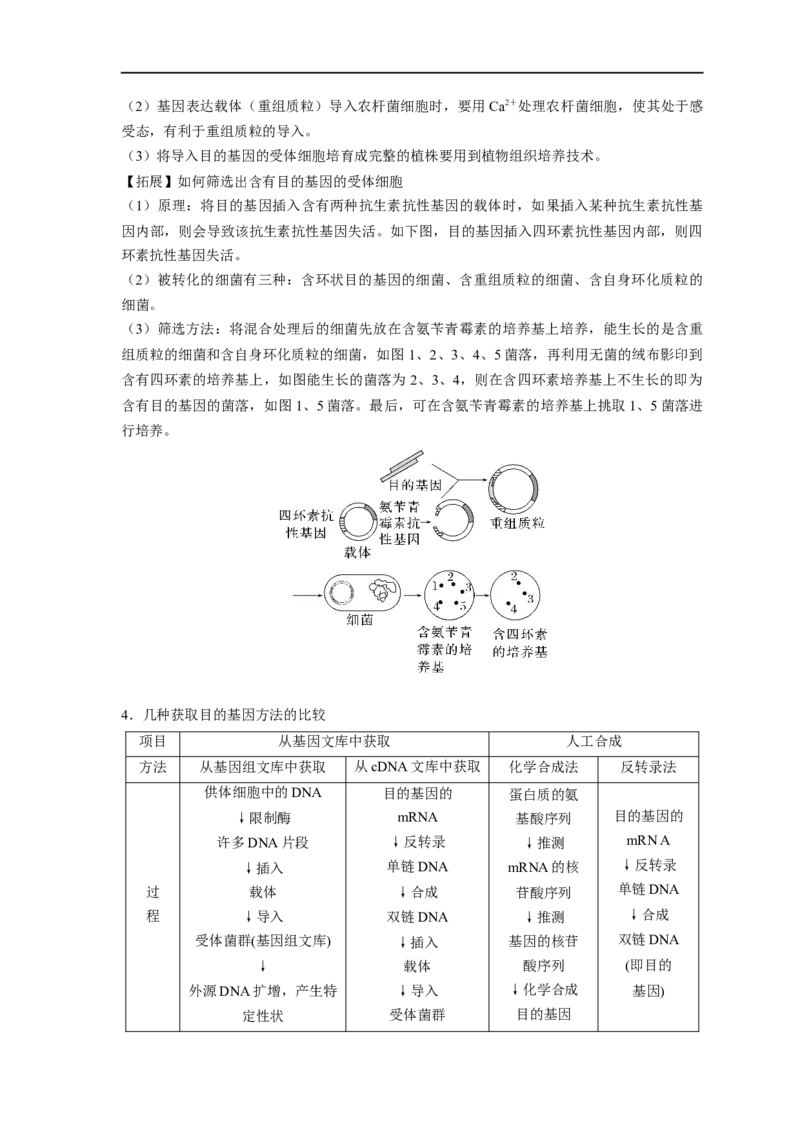 易错点28基因工程-备战2023年高考生物考试易错题（新教材新高考）（原卷版）_新高考复习资料_2023年新高考复习资料_专项复习_备战2023年高考生物考试易错题（新教材新高考）